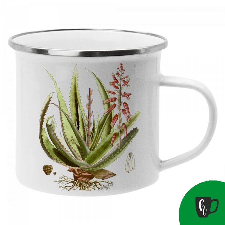 Obrázek k výrobku 2219 - Aloe vera