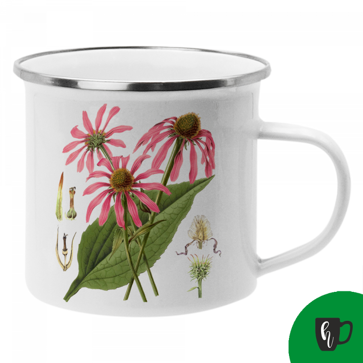 Obrázek k výrobku 2504 - Echinacea