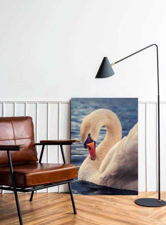 Obrázek k výrobku 4193 - LABUŤ - 50x70cm - tisk na plátně