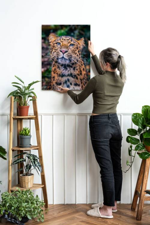 Obrázek k výrobku 4196 - LEVHART - 40x60cm - tisk na plátně