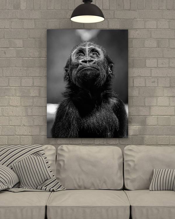Obrázek k výrobku 4191 - MOBI - 60x90cm - tisk na plátně
