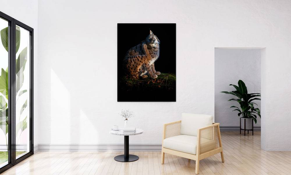 Obrázek k výrobku 4194 - RYS - 60x90cm - tisk na plátně