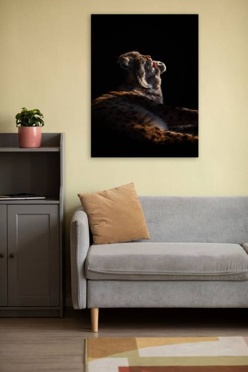 Obrázek k výrobku 4197 - RYS - 60x90cm - tisk na plátně