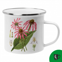 Obrázek k výrobku 2504 - Echinacea